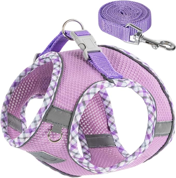 TomteNisse Dog Harness and Leash Set - No Pull Soft Breathable Small Dog Harness, Adjustable Reflective Step in Vest for P...
