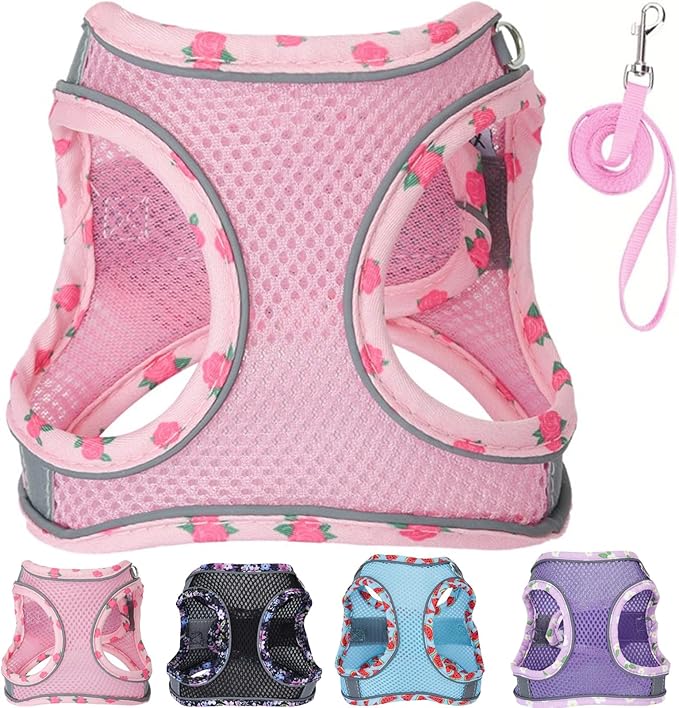 Petank Dog Harness for Small Medium Dogs No Pull, Puppy Harness and Leash Set, Mesh Adjustable Breathable Light Vest for W...