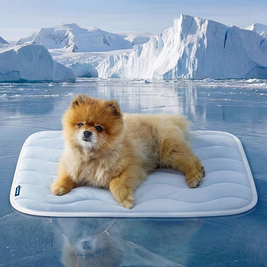 Bedsure Cooling Mat for Small Dogs - Q-Max>0.4 Thin Breathable Crate Pad Indoor for Puppy and Cat with Chill Cool Fiber an...