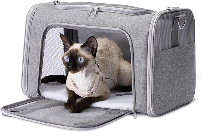 Amazon Basics Soft Cat & Dog Carrier with Adjustable Shoulder Strap, Airline-Approved, Foldable and Portable Design, Mesh ...
