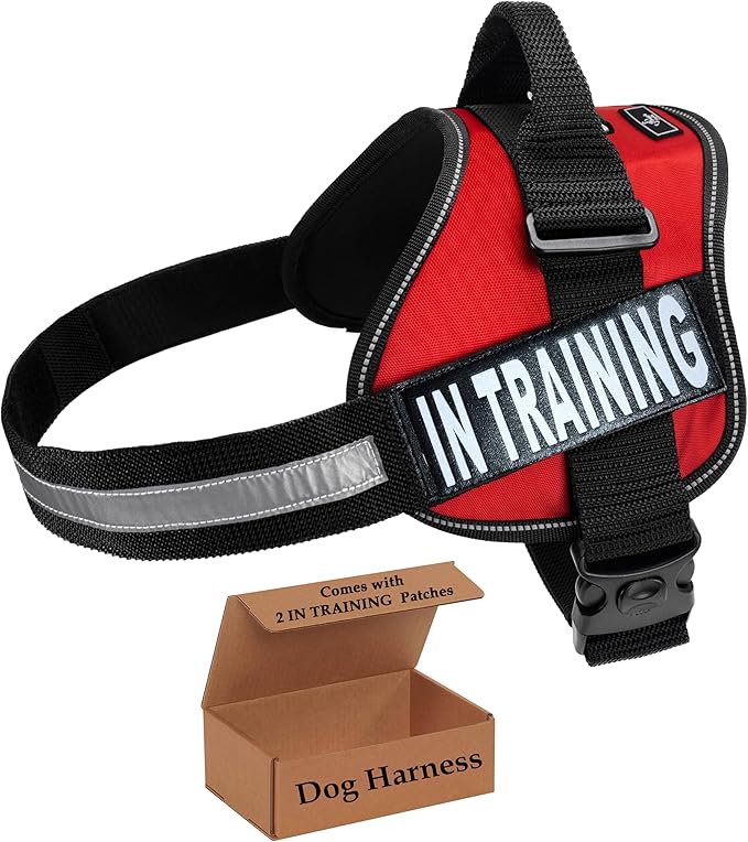 Service Dog in Training Vest - Adjustable No Pull Dog Harness with Patches. in Training Dog Vest for Service Dogs Small, M...