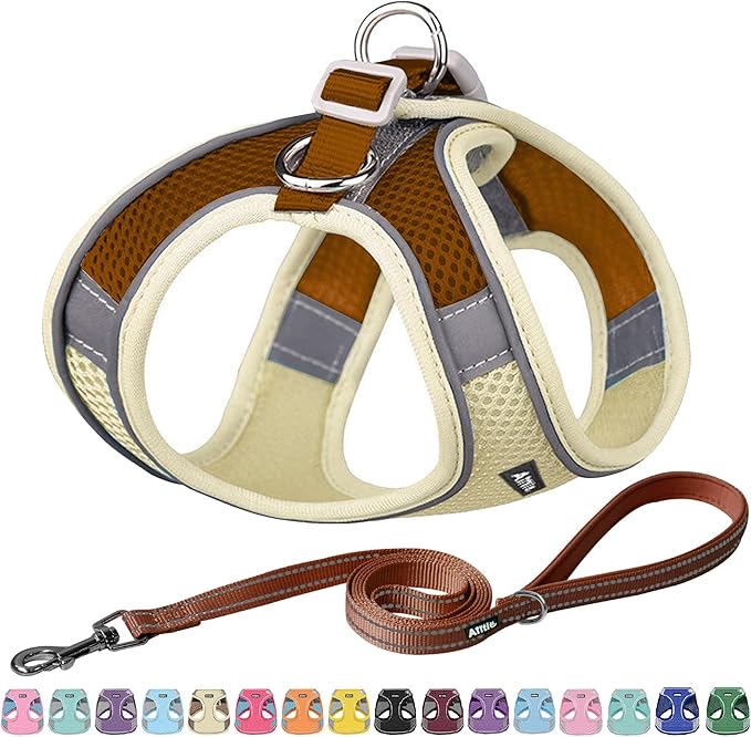 AIITLE No Pull Dog Harness and Leash Set, Step in Adjustable Dog Harness with Padded Vest for All Weather, Dog Leash with ...