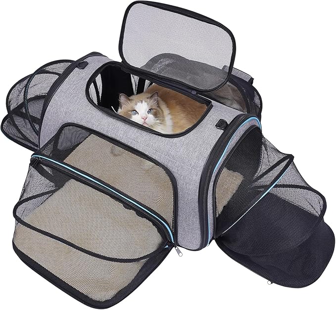 Siivton Airline Approved Pet Carrier, 4-Way Expandable Cat Dog Carrier for Under-Seat Travel, Soft-Sided Portable Pet Bag ...