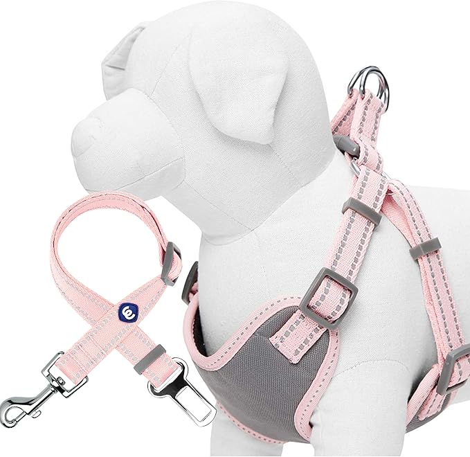 Blueberry Pet Pastel Colored Reflective Dog Harness with Seatbelt Clip – Adjustable No-Pull Pet Vest for Walking and Car S...