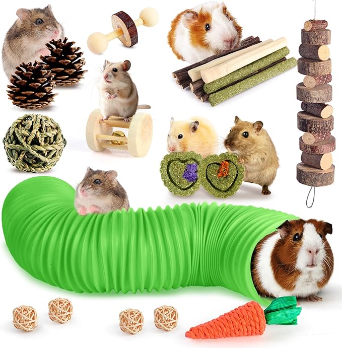 Kyouki Hamster Toys Guinea Pig Toys Set with Tunnel, Chewable Apple Wood & Natural Timothy Hay - Enrichment Chew Toys for ...