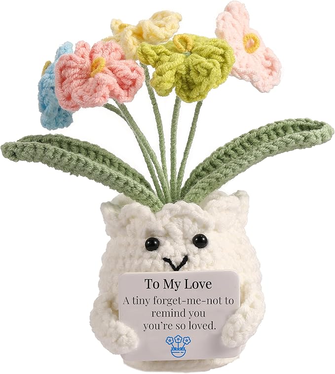 YOOJEE Forget-Me-Not Crochet Gifts for Him Her Boyfriend Girlfriend Birthday to My Love Handmade Valentines Day Flower Pla...