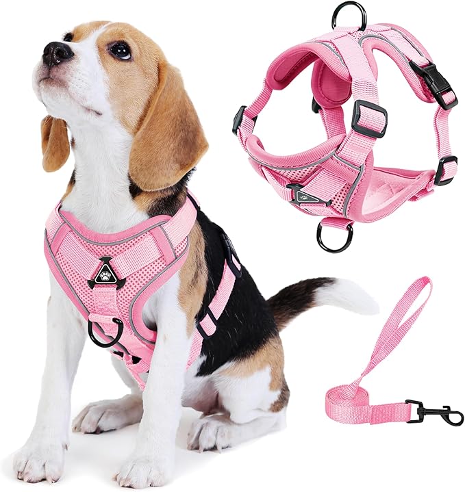 Jolifield No Pull Dog Harness with Leash Set for Small Sized Dog, Reflective Adjustable No Choke Front Clip Cat Vest Harne...