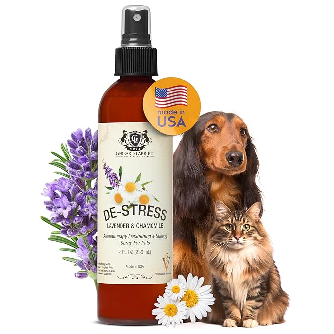 Dog Perfume Spray Long Lasting Chamomile & Lavender 8 Fl Oz, Dog Cologne Spray Long Lasting for Groomers, Calming Deodoriz...
