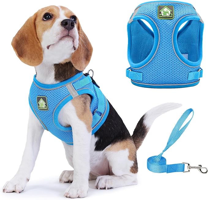 Jolifield Step in Dog Harness with Leash Set, Adjustable Soft Padded and Breathable Mesh for Small Sized Dog, Reflective N...
