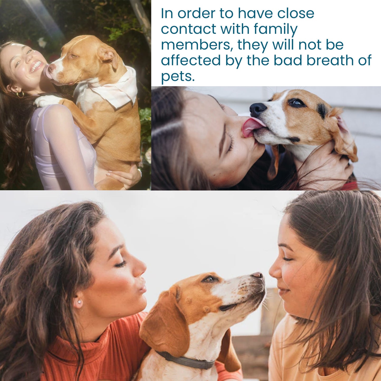Pet Oral Care Spray To Eliminate Bad Breath