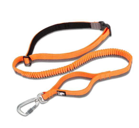 Pet Dog Leash With Elastic Suitable For Running And Outdoor Activities Can Be Attached To The Waist