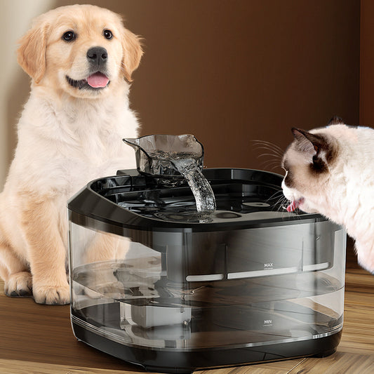 Smart Automatic Circulating Filtration Pet Water Fountain With A Large Capacity
