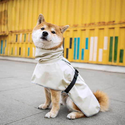Outdoor Waterproof Pet Dog Clothes Raincoat