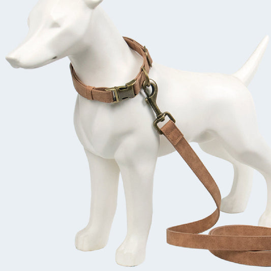 Retro Fashion Pet Leash And Collar Set