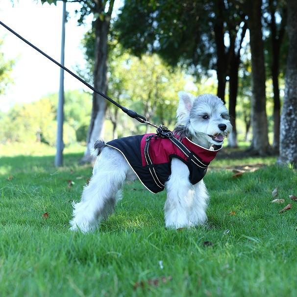 Fashion Outdoor Waterproof Cotton Pet Clothing
