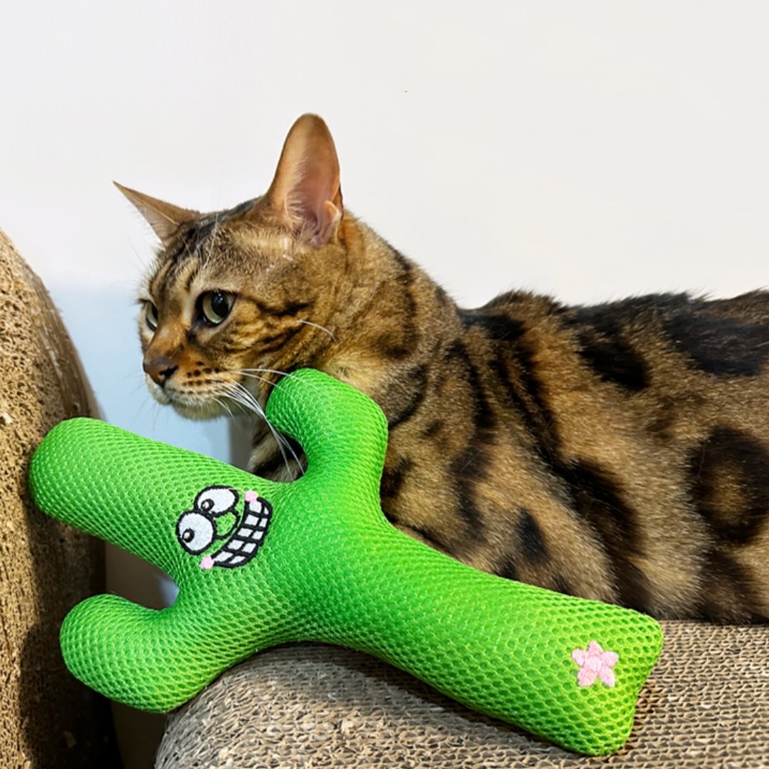 Cat Gnawing And Teething Plush Pet Toy