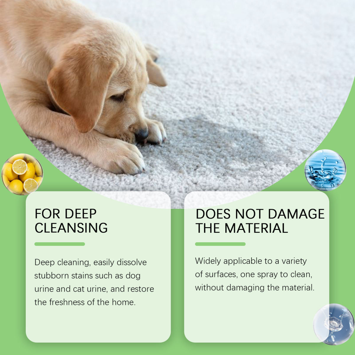 Pet Mucus And Saliva Cleaner Pet Stain Remover