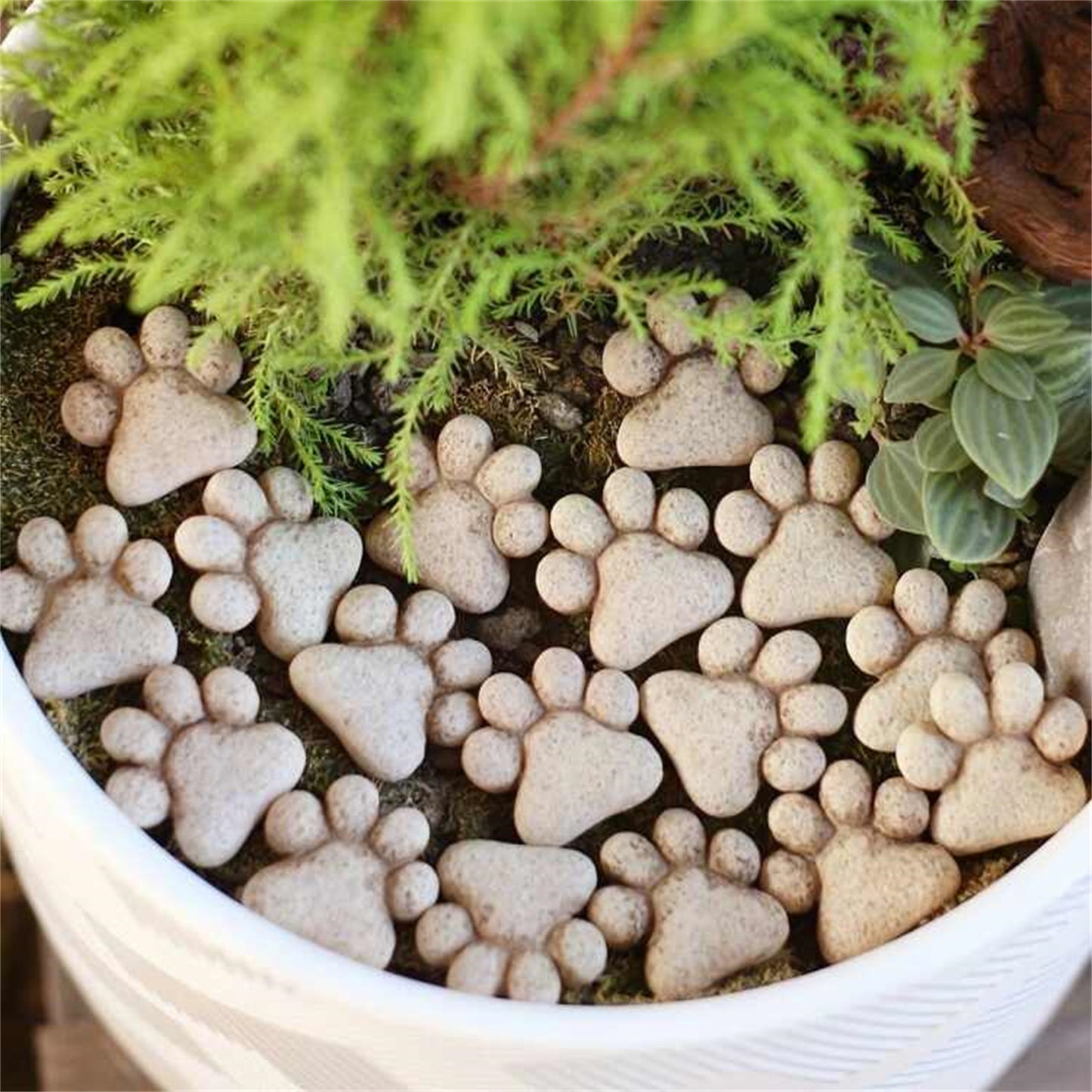 Garden Trail Stone Outdoor Decorative Stone