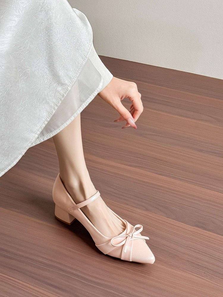 Women's French Vintage Mary Jane Pumps, Block Heel Slip On Shoes With Strap, Elegant High Heels, Versatile Commuter Footwear, New Arrival For Spring & Autumn
