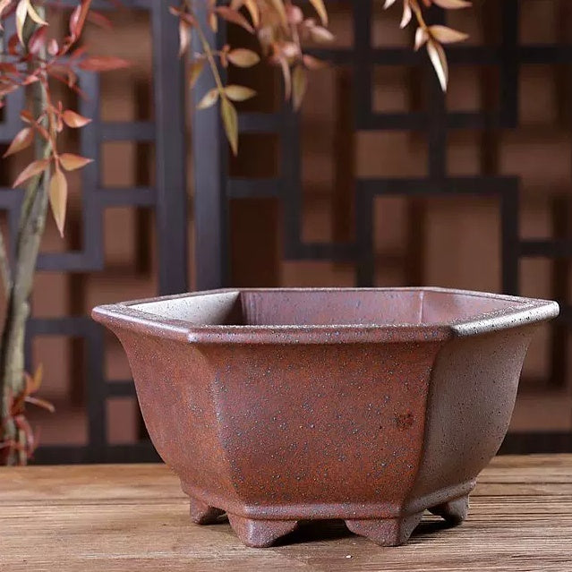 Green Plant Succulents Indoor Desk Purple Clay Flower Pot