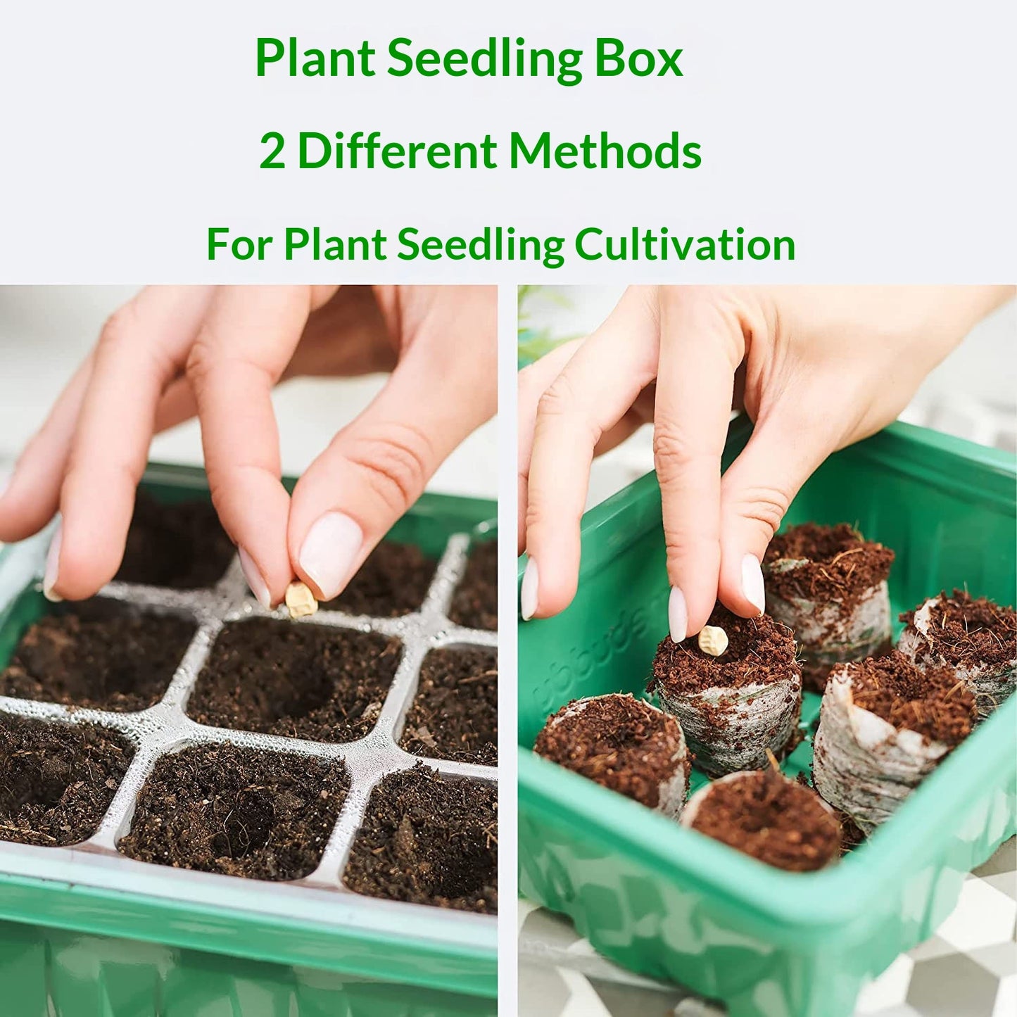 Smart Seedling Tray With Smart Grow Light