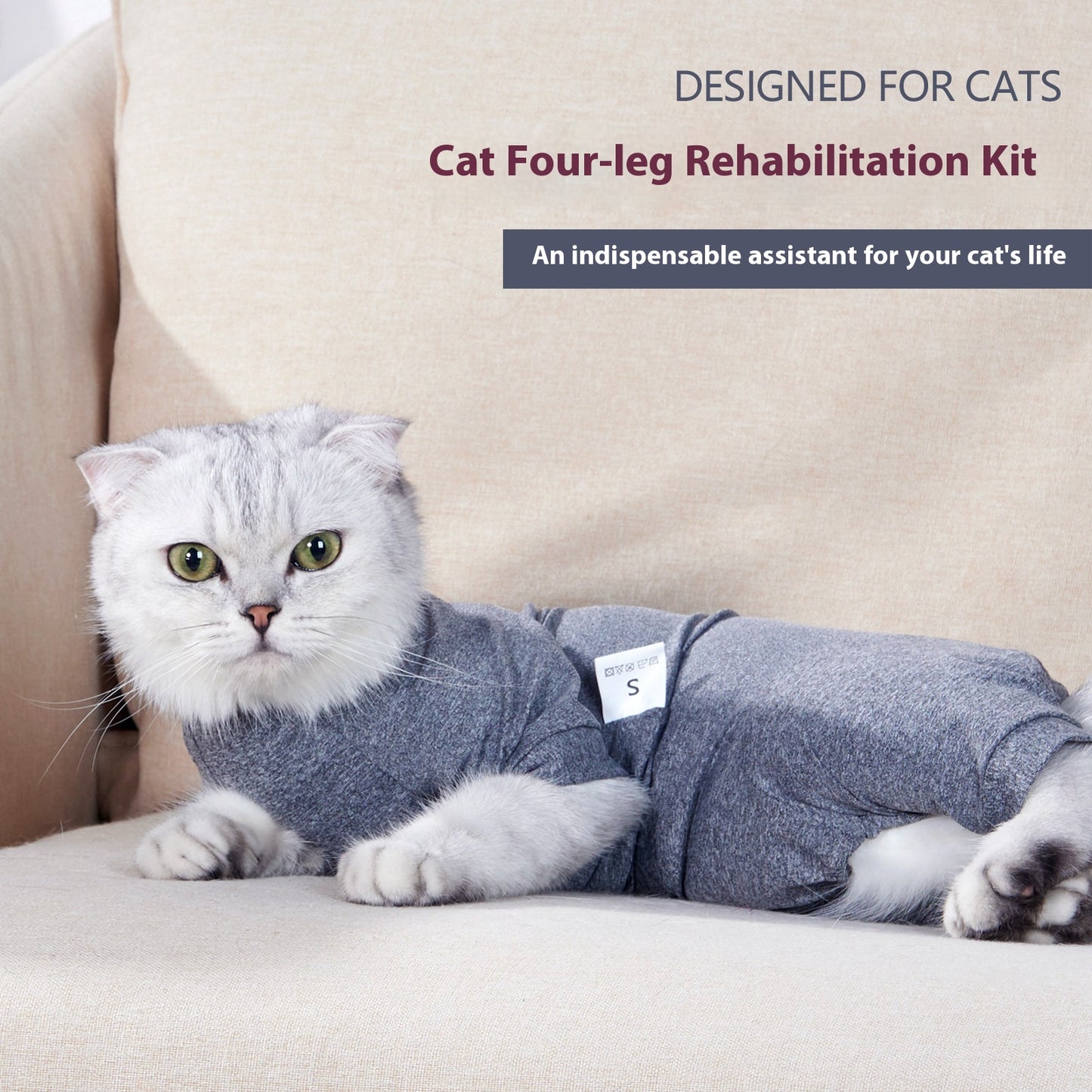 Cat Surgery Post Operative Recovery Four Legged Clothes