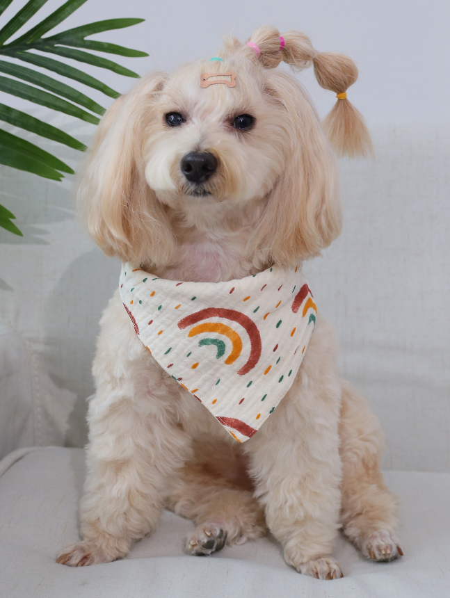 Pet saliva towel-triangular towel-cotton yarn-1 piece