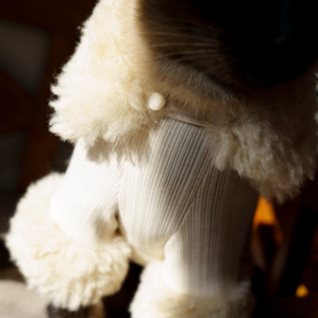Dog Clothes Four Legged Pet Powder Noblewoman Winter New Year