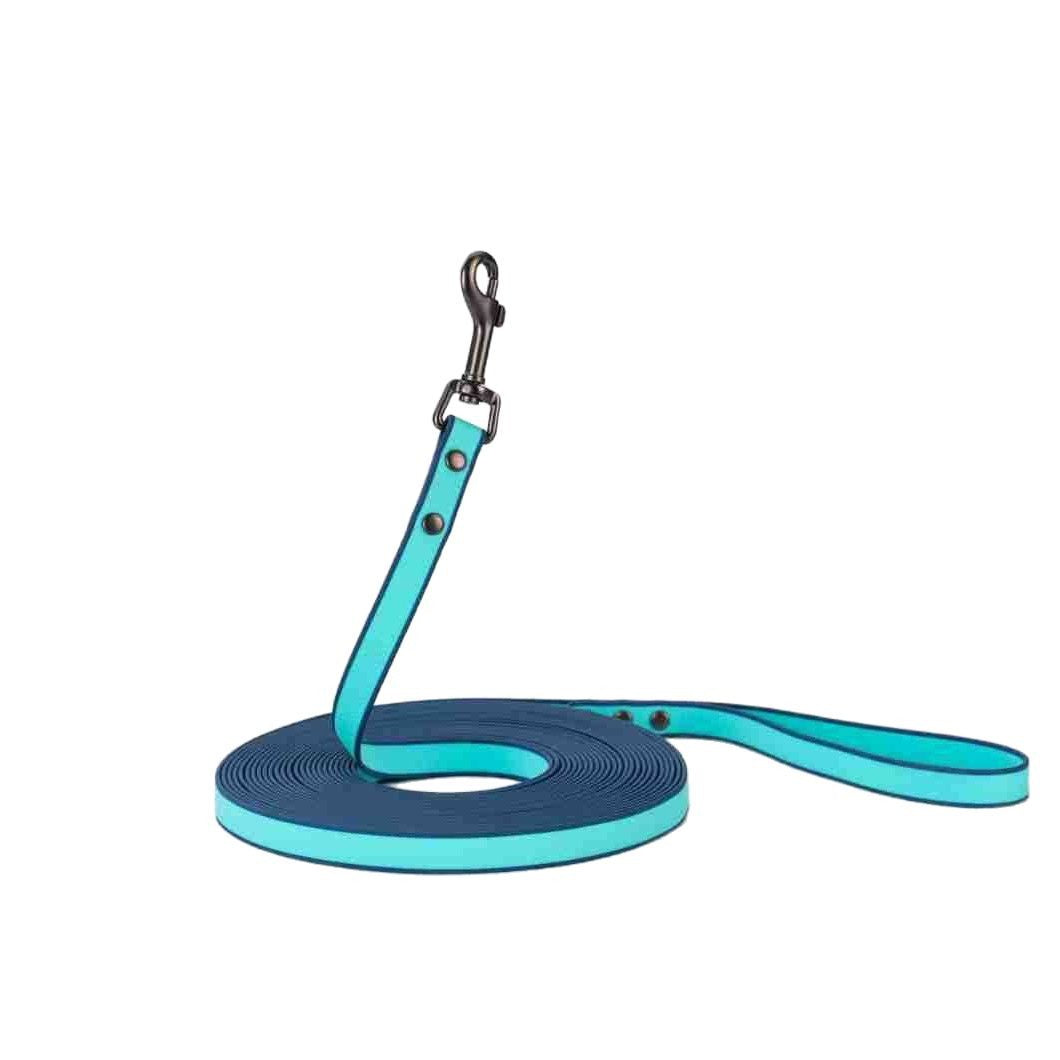 Best-selling Pet Product PVC-embossed Extended Leash