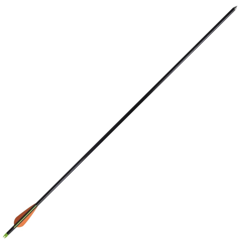 Compound bow with accessories and fiberglass arrows for adults