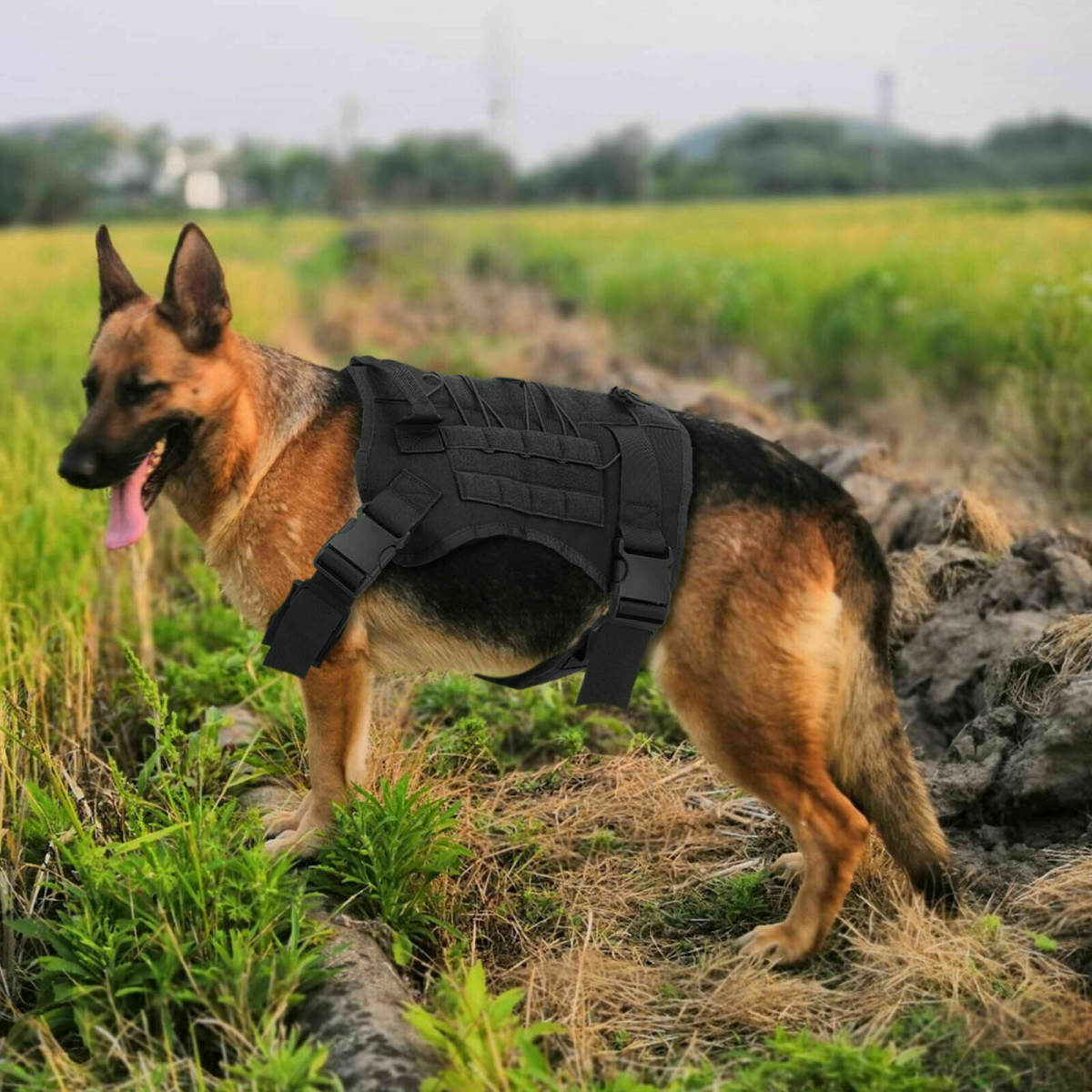 No-pull Dog Harness Pet Puppy Large Dog Vest Adjustable Padded Handle L Size AU-black