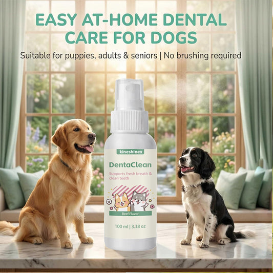 Portable, Home-Use Pet Dental FreshenerNo Brushing Required