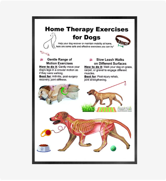 Cat And Dog Health Care Matters Hanging Pictures Veterinary Clinic Pets