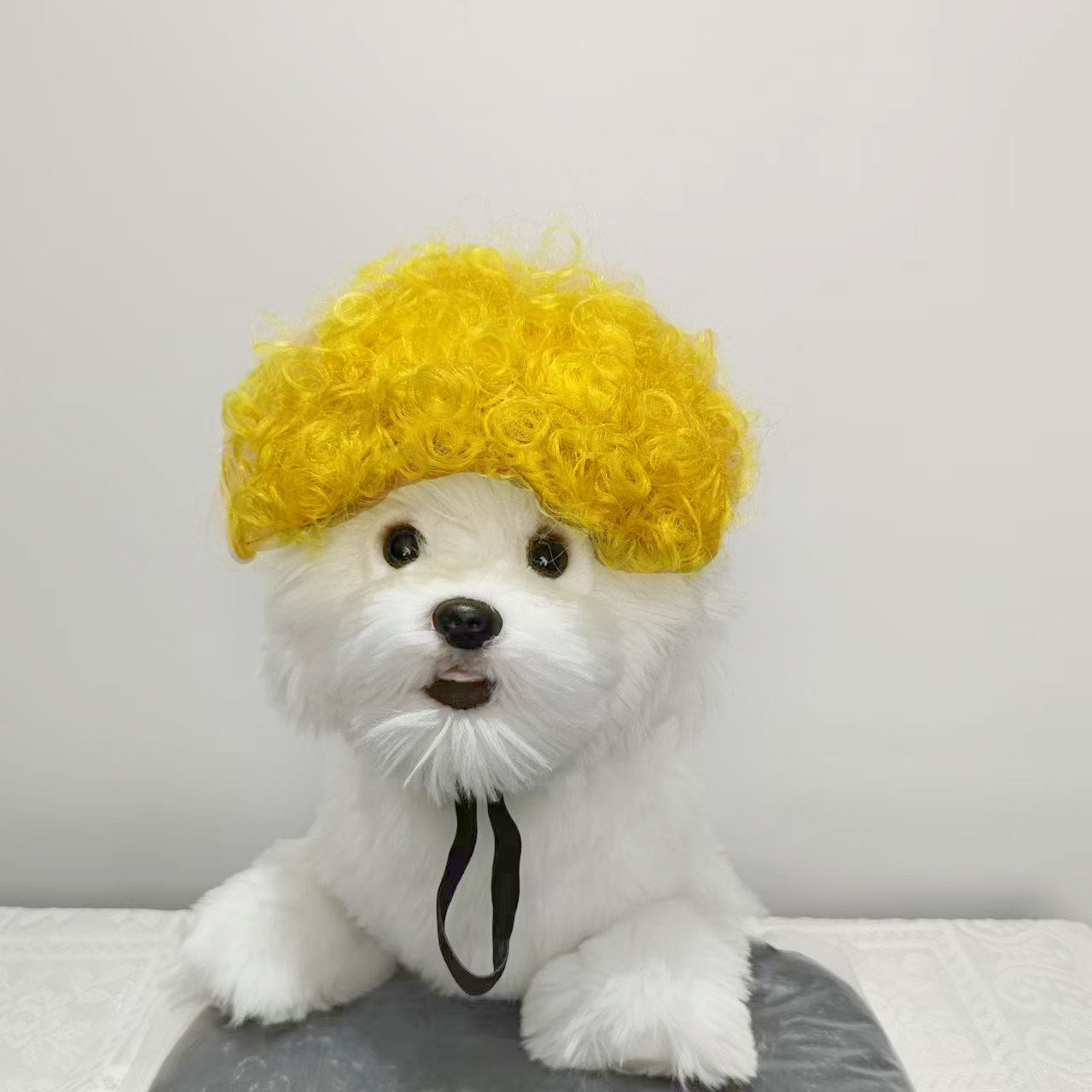 Halloween Pet Wig For Curly Or Straight Hair