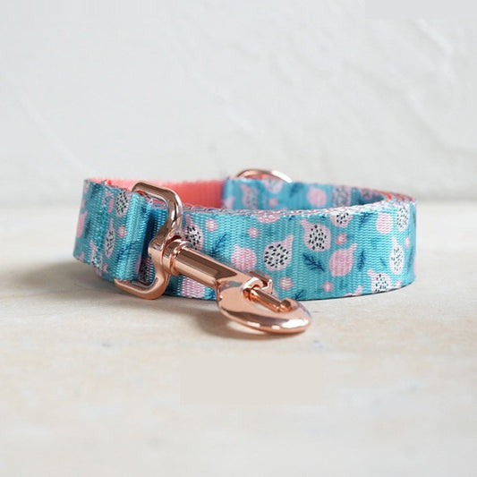 Fruit-Print Pet Leash Durable Nylon Leash With Metal Buckle