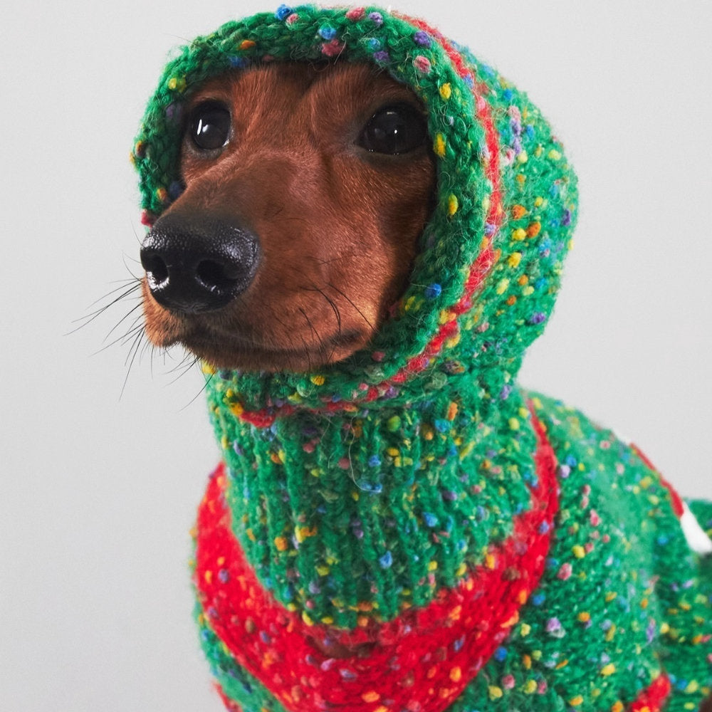 Christmas Pet Clothes For Autumn And Winter Warmth