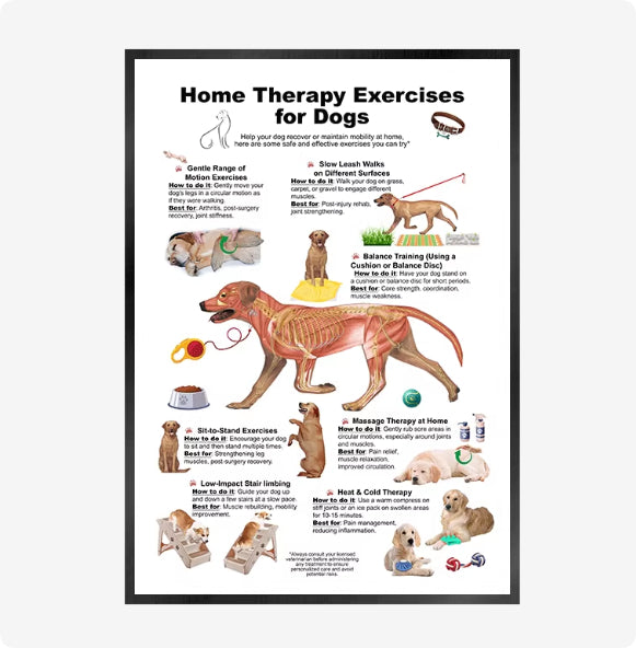 Cat And Dog Health Care Matters Hanging Pictures Veterinary Clinic Pets