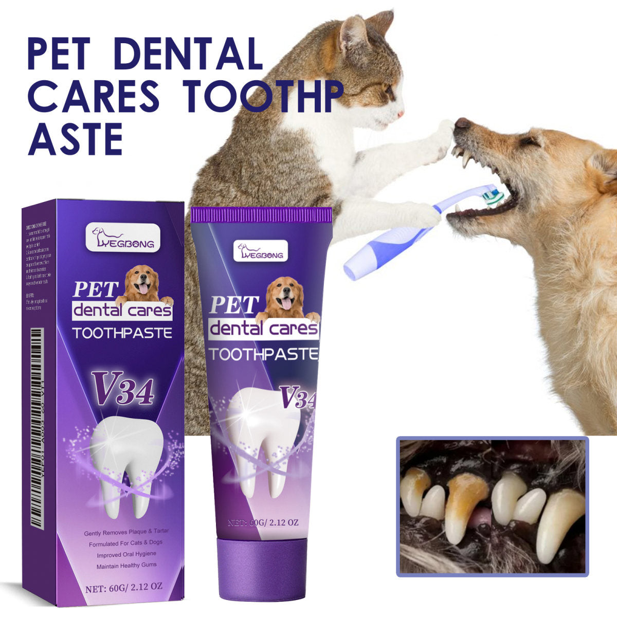 Pet V34 Toothpaste 60g  1box