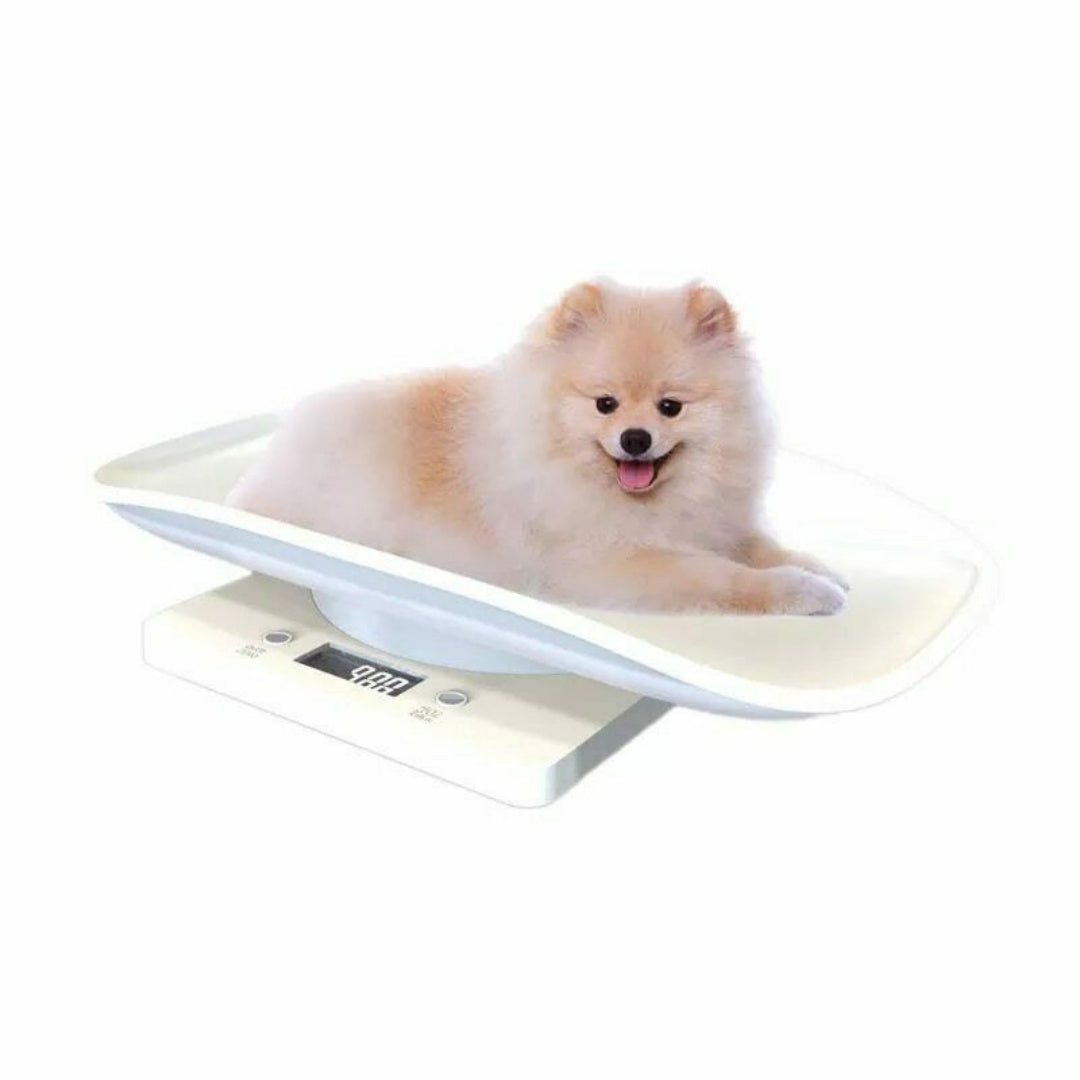 New Electronic LCD Digital Cat Puppy Small Pet Weighing Scales Animal Scale 10kg 1g UK