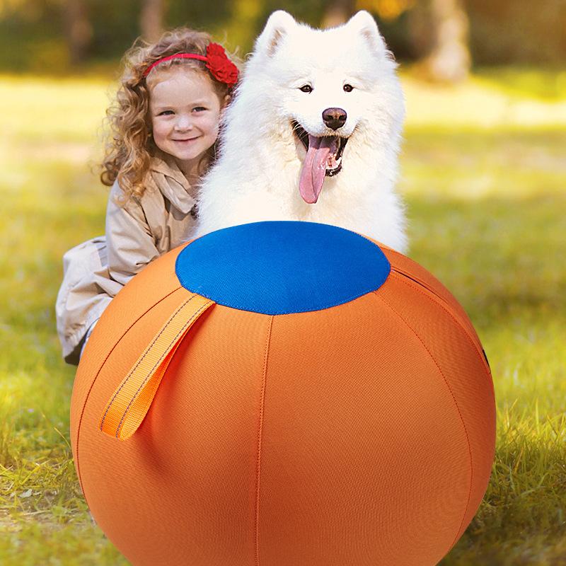 Inflatable Training And Exercise Toy Pet Play Ball