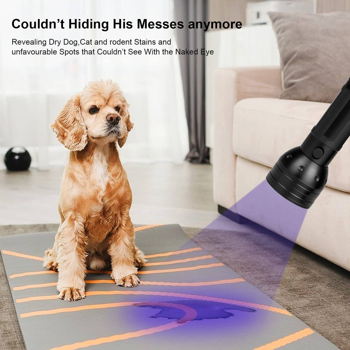 UV Flashlight Black Light, 51 LED Blacklight Pet Urine Detector For Dog Cat Urine, Dry Stains, Bed Bug, Resin Curing, Scorpions Finder