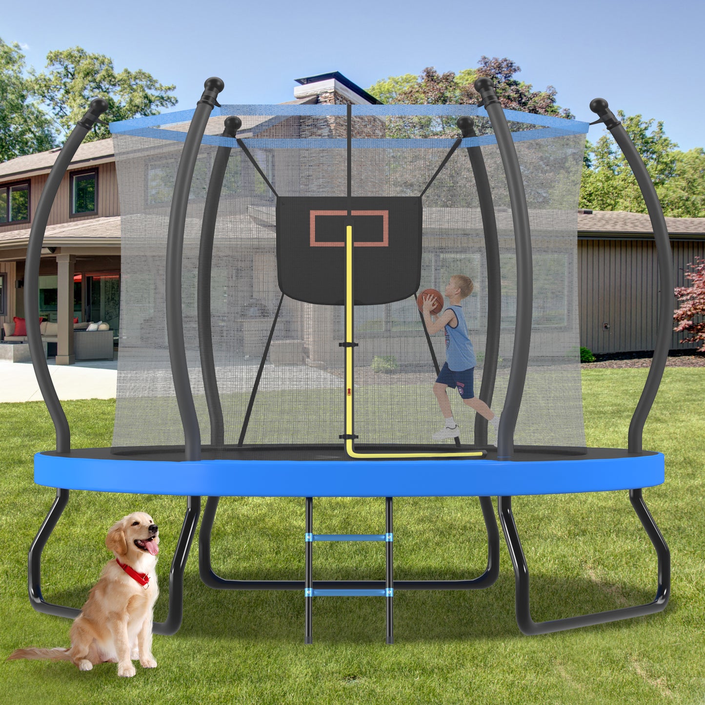 10FT Trampoline With Basketball Hoop, Enclosure Net And Ladder, Outdoor Trampoline For Kids, Recreational Backyard Trampoline