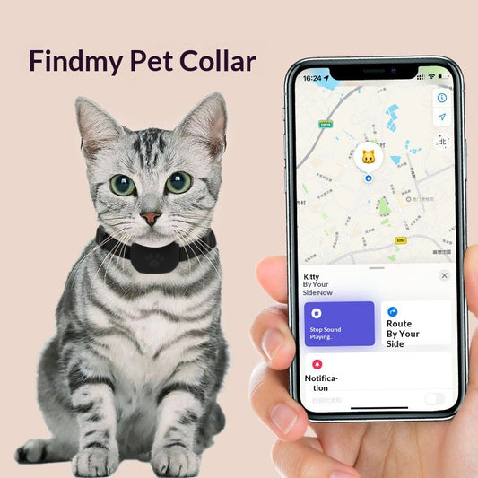Pet Locator Collar With Anti-loss Smart Alerts
