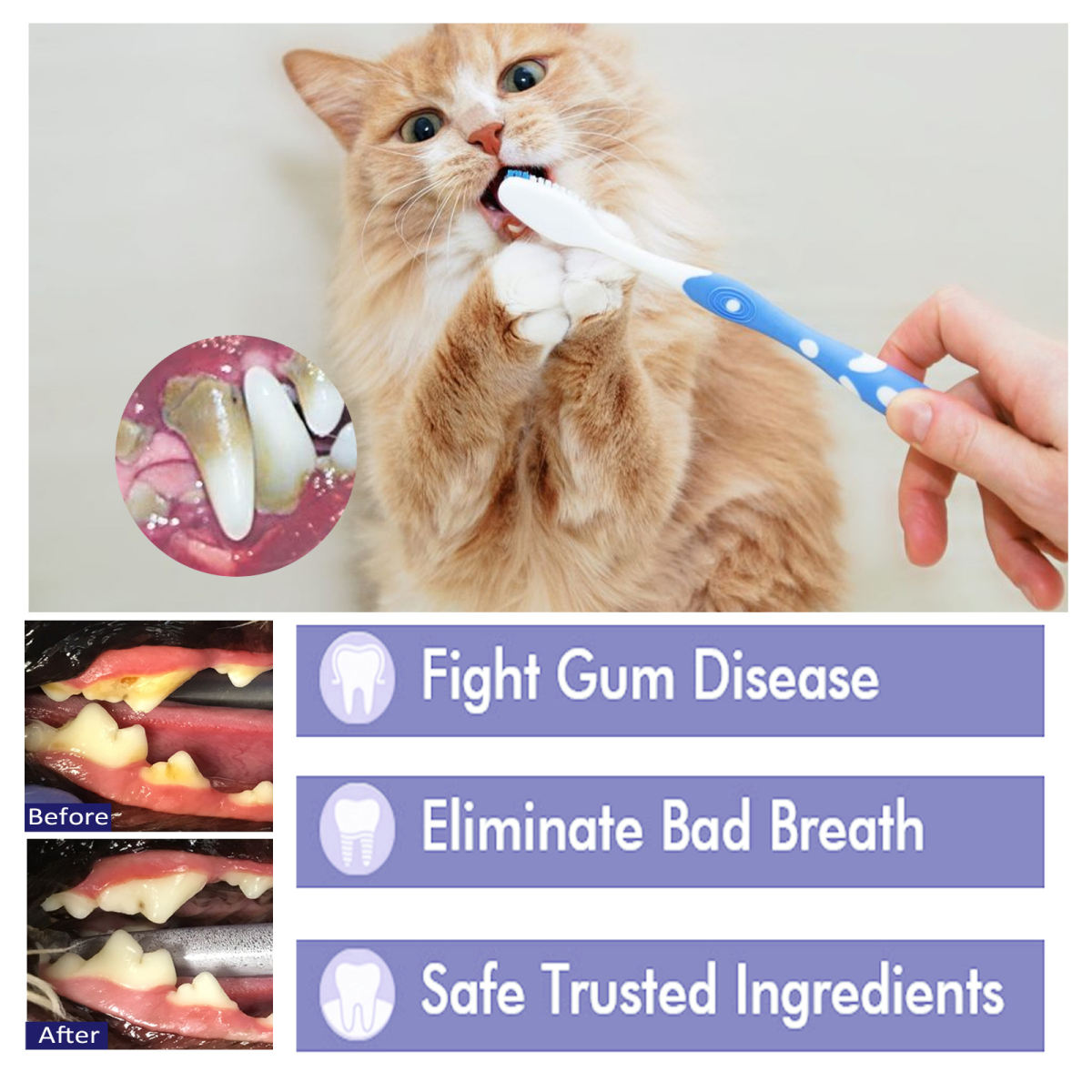 Pet V34 Toothpaste For Oral Hygiene, Reduces Bad Breath And Tartar