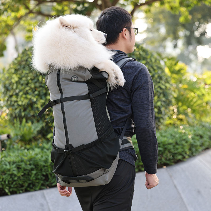 Double-Layer Protective Pet Backpack