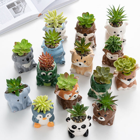 Cartoon Succulent Flower Pot Creative Home Gardening Planter
