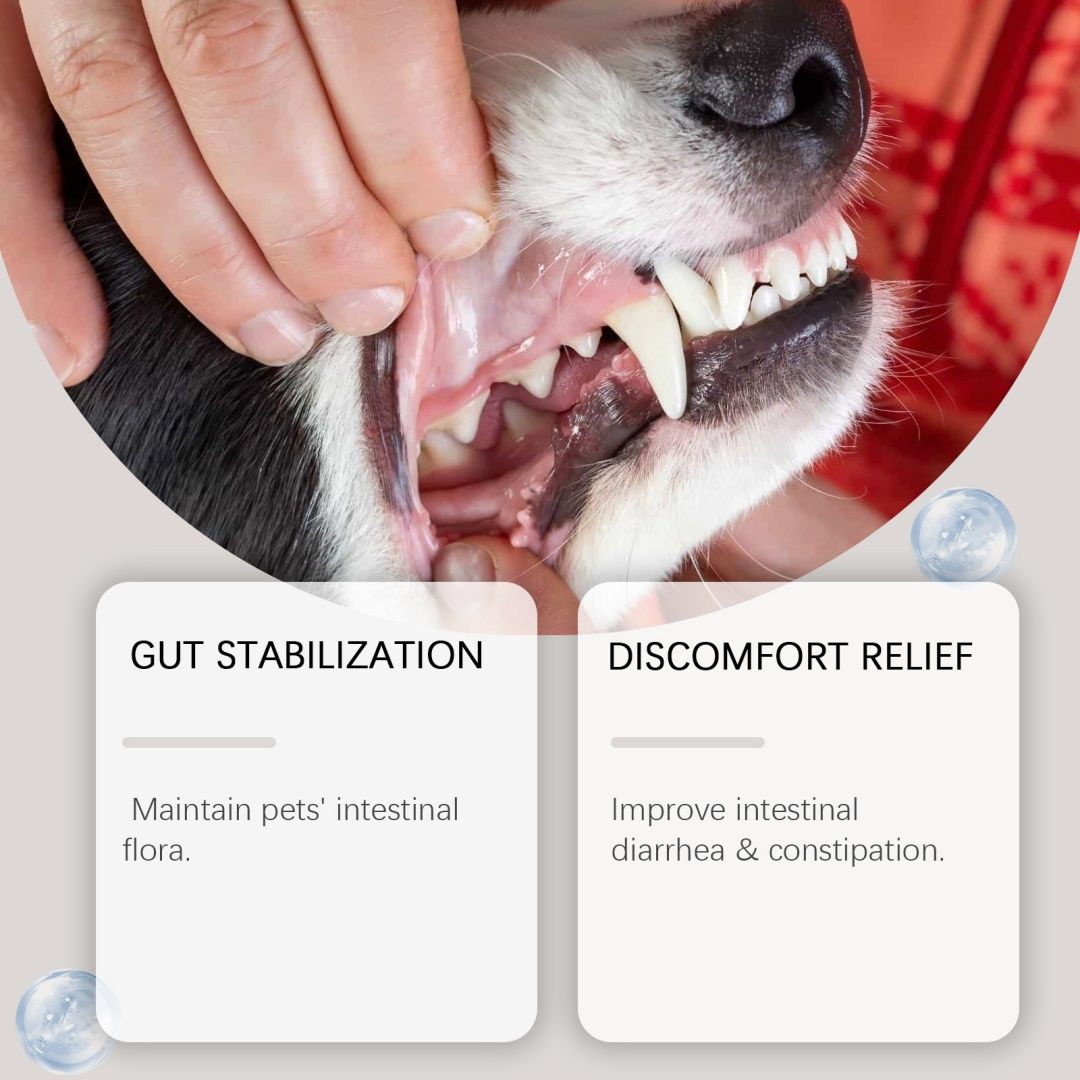 Dog Dental Care Powder Supplement
