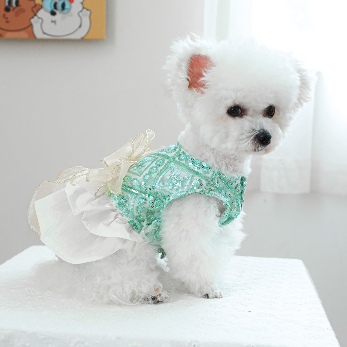 Pet Clothes For Dogs And Cats