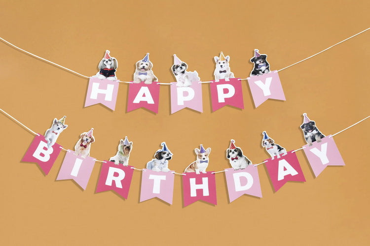 Pet Dog Birthday Party Hanging Bunting
