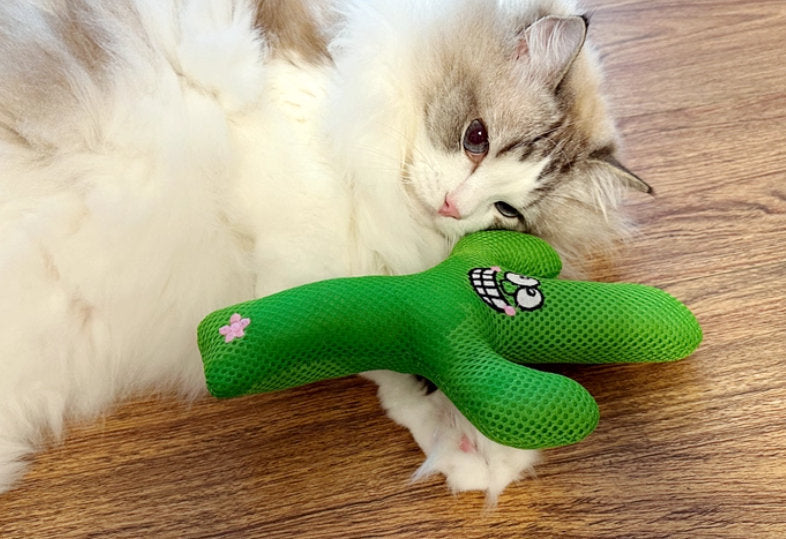 Cat Gnawing And Teething Plush Pet Toy